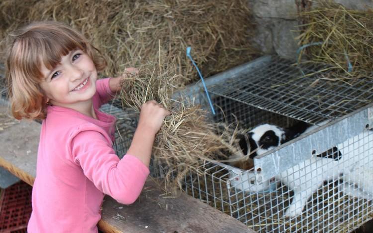 Ferme Pedagogique " L'Bout D'Chemin" Villa Genevreuille Bagian luar foto