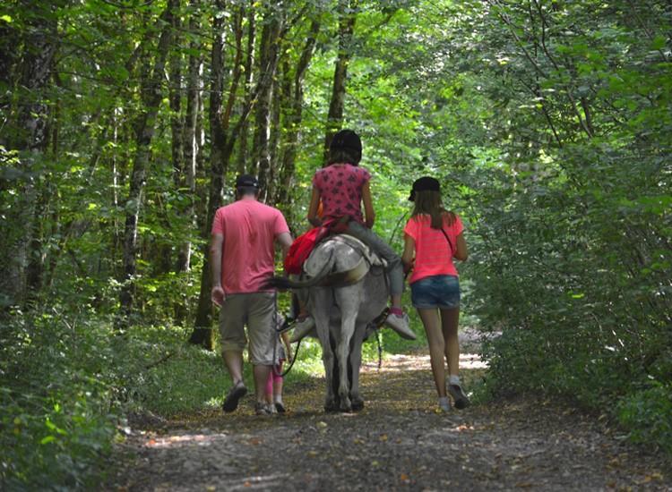 Ferme Pedagogique " L'Bout D'Chemin" Villa Genevreuille Bagian luar foto