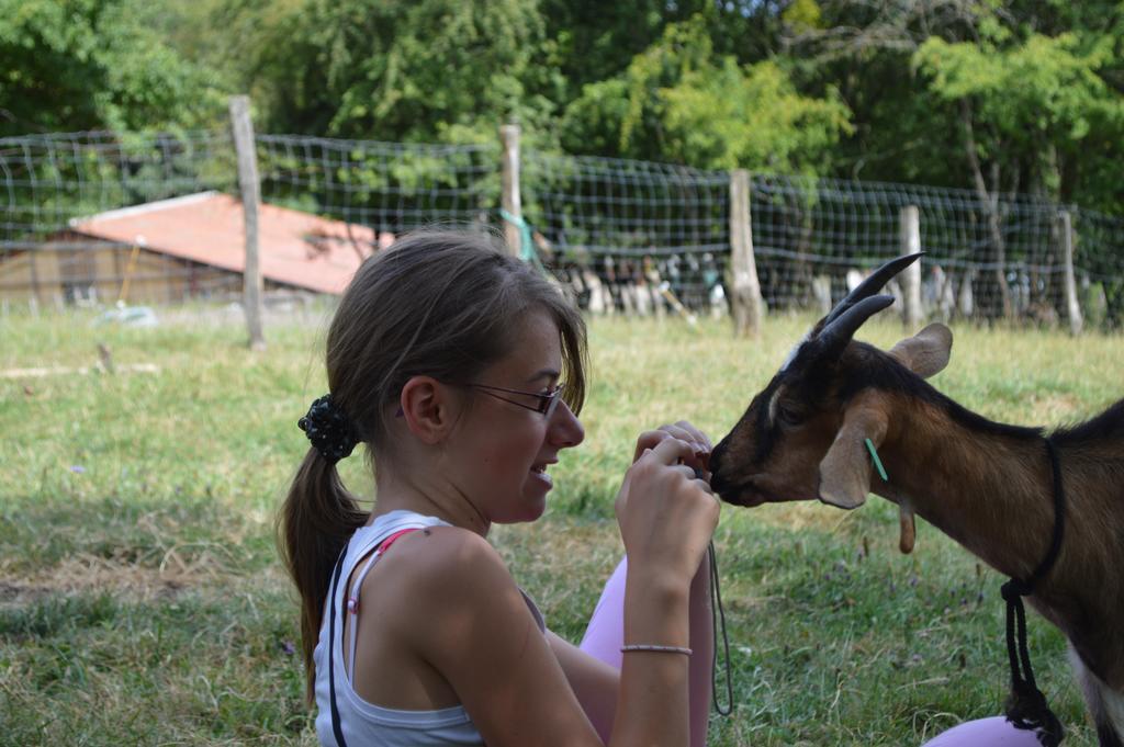 Ferme Pedagogique " L'Bout D'Chemin" Villa Genevreuille Bagian luar foto
