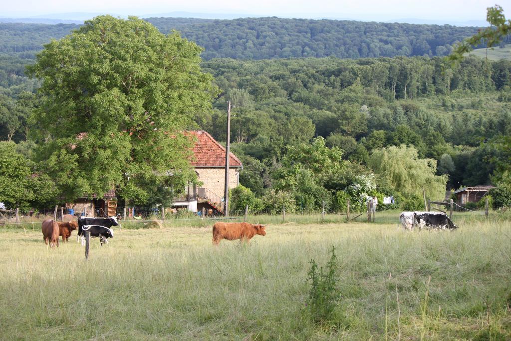 Ferme Pedagogique " L'Bout D'Chemin" Villa Genevreuille Bagian luar foto